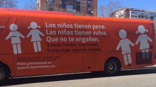 Imatge destacada
