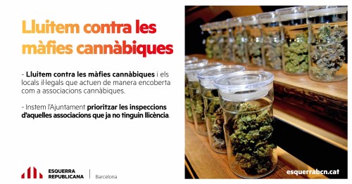 Imatge destacada