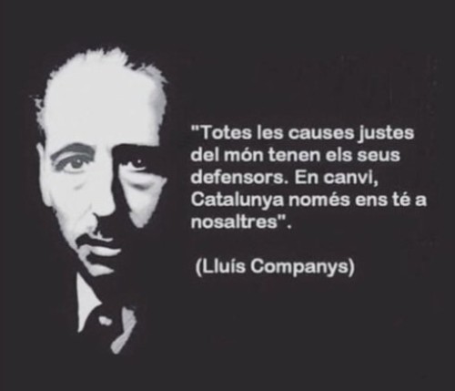 Imatge destacada
