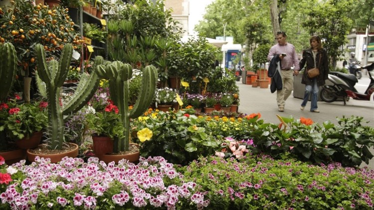 floristeria barcelona